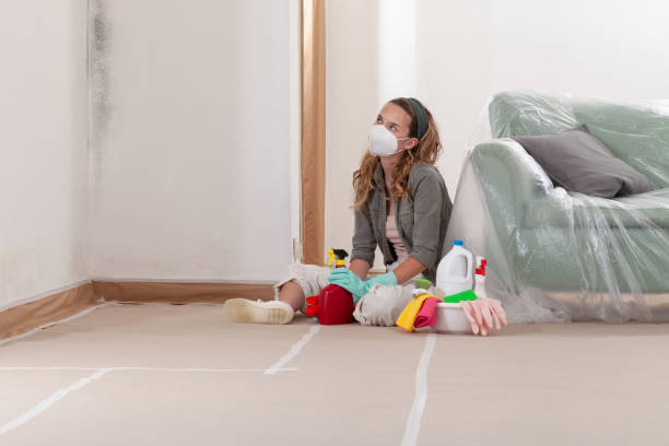 Reliable Mold Cleanup contractor in Issaquah, WA by Cheap Mold Removal